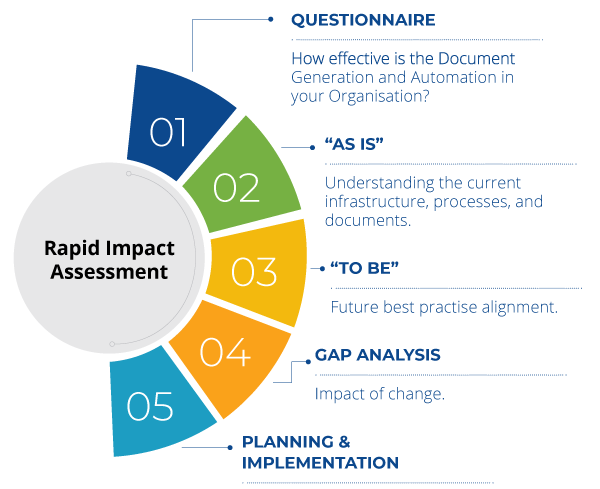 The five-stage Rapid Impact Assessment process.